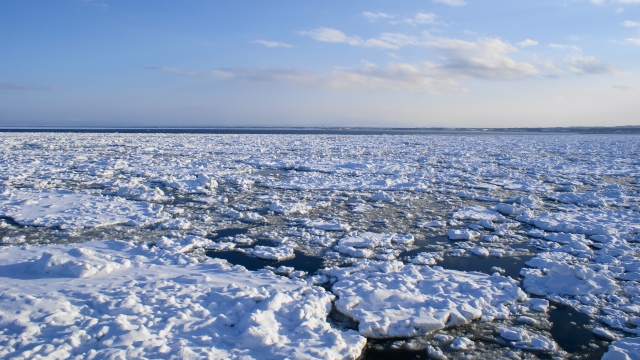 網走 流氷