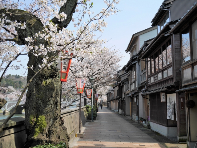 金沢のペット可ホテルまとめ♪歴史ある街でペットと過ごす心豊かな旅のひととき
