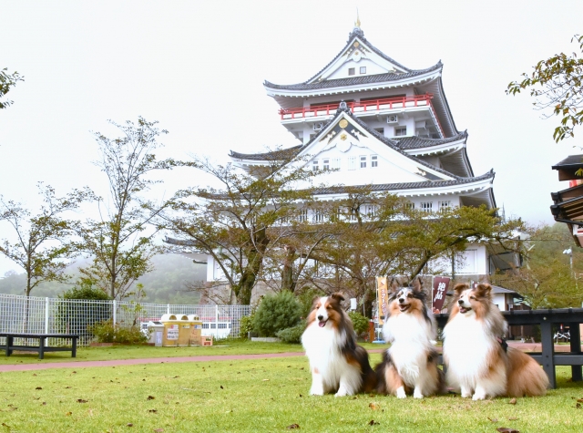 【熱海】愛犬も泊まれるホテルまとめ！ペット可・同伴可のおすすめホテル5選