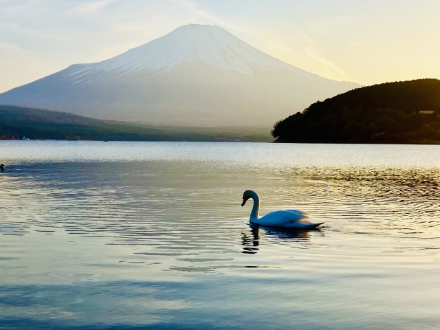 ペットと行きたい山中湖♪犬も泊まれる人気のホテルおすすめまとめ