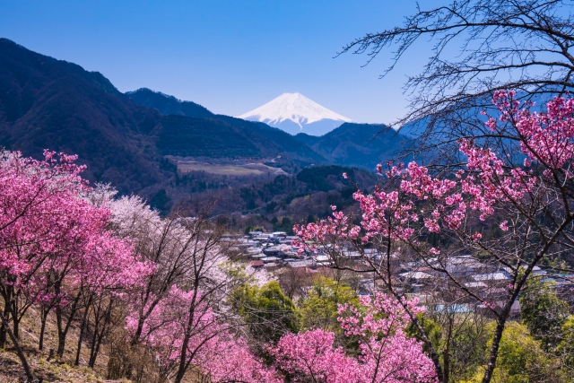 大月のおすすめホテル・旅館まとめ！