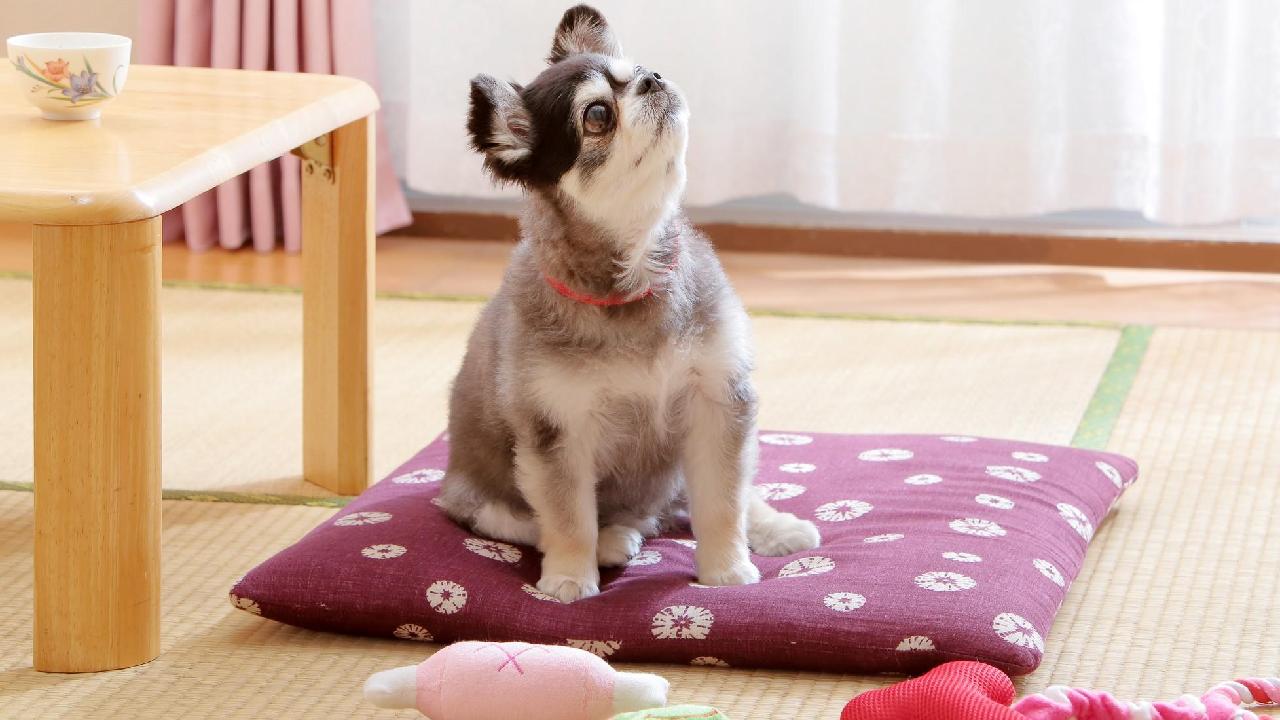 ビジネス旅館 オタマヤ ビジネス旅館 オタマヤ