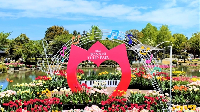 砺波チューリップフェア