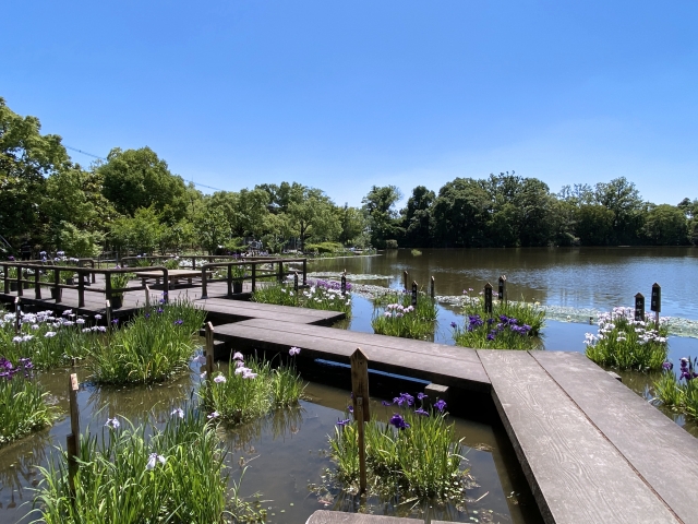 枚方市・市民の森