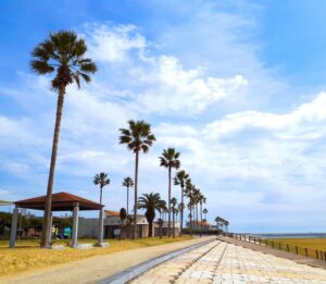 焼野海岸のフェニックス 山陽小野田市