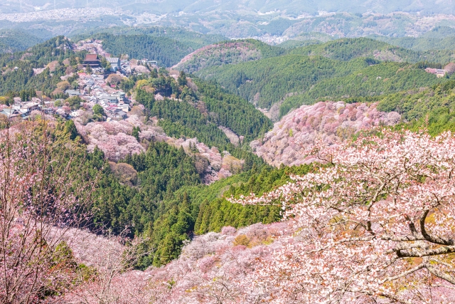 吉野のおすすめ旅館！